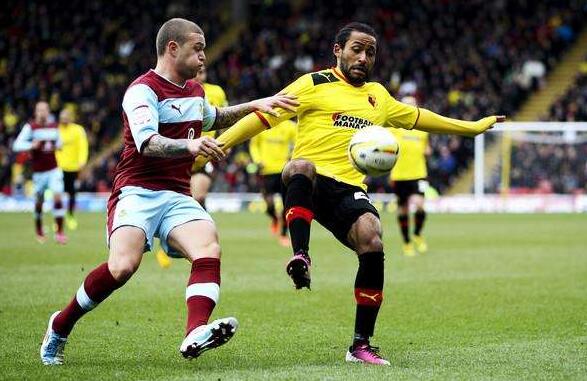 沃特福德球迷 沃特福德球迷